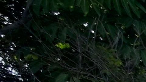 Fuertes lluvias al norte de México ante el paso de la depresión tropical Harold