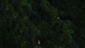 Students walk to their classrooms at a public middle school in Los Angeles, California, September 10, 2021. - Children aged 12 or over who attend public schools in Los Angeles will have to be fully vaccinated against Covid-19 by the start of next year, city education chiefs said September 9, 2021, the first such requirement by a major education board in the United States. (Photo by Robyn Beck / AFP) (Photo by ROBYN BECK/AFP via Getty Images)