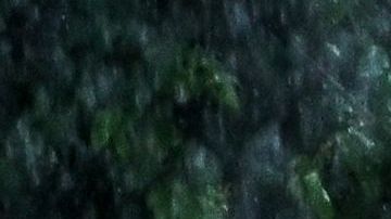 Tormenta tropical Harold tocó tierra en el sur de Texas con fuertes lluvias y vientos