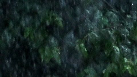 Tormenta tropical Harold tocó tierra en el sur de Texas con fuertes lluvias y vientos