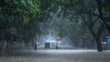 Tormenta tropical Harold tocó tierra en el sur de Texas con fuertes lluvias y vientos