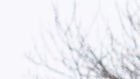 Renunció todo el departamento de policía de una pequeña ciudad de Minnesota