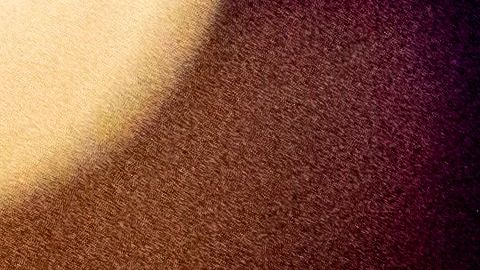 Hombre que mató a estudiante de la Universidad de Carolina del Sur por intentar entrar a la casa equivocada no enfrentará cargos