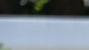 Alcalde de Uvalde exigió la renuncia de la fiscal de distrito por encubrir información sobre matanza escolar