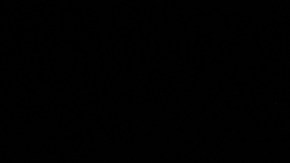 Donald Trump se vio obligado a dar un paso atrás