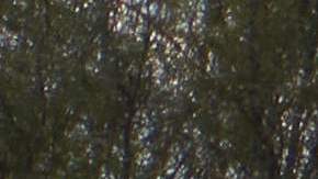 Eagle Pass se rebela contra gobierno de Texas y evita uso de parque público para detener migrantes