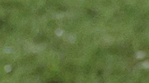 Gustavo Alfaro salió en malos términos con la selección de Ecuador.