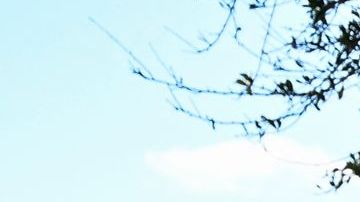 Preparan la recreación del tiroteo perpetrado en Parkland para documentar la masacre