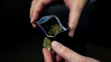 Gobierno recomienda a la DEA suavizar las restricciones sobre la marihuana