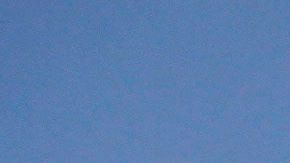 Marijuana plants are pictured on a two-hectare plot of land during a military operation in Poncitlan, Jalisco state, Mexico, on April 14, 2023. (Photo by ULISES RUIZ / AFP) (Photo by ULISES RUIZ/AFP via Getty Images)