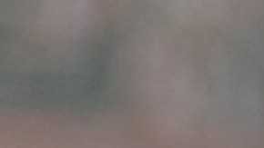 El delantero mexicano metió 15 goles en la Eredivisie.