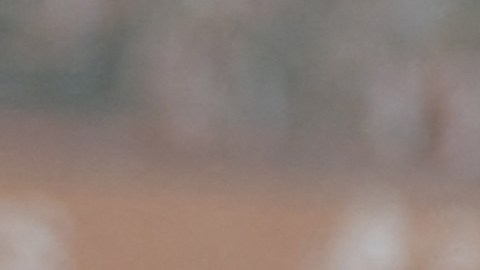 El delantero mexicano metió 15 goles en la Eredivisie.