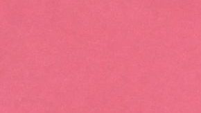 Luis Rubiales dirigiendo una práctica del FC Barcelona femenil.