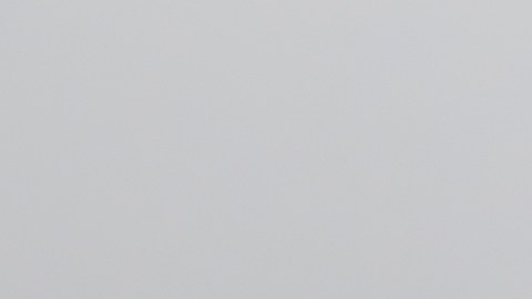 Exjefe de la Guardia Costera de EE.UU. ocultó información al Congreso sobre abusos sexuales