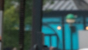 Más de 100,000 inmigrantes han arribado a Nueva York.