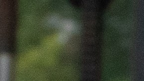 Nueva York abrió el centro humanitario más grande construido para inmigrantes