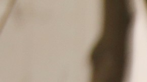 Asesino "extremadamente peligroso", sentenciado a cadena perpetua, escapa de prisión en Pensilvania