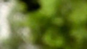 Fisicoculturista mata a tiros a su exmujer, lo transmite en Instagram y después se suicida