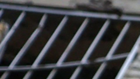 Ucrania afirma que recuperó aldea clave de manos de los rusos mientras continúa la contraofensiva