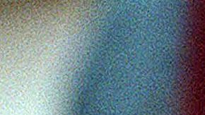 Avistamientos de monos salvajes en una ciudad de Florida provocan una advertencia de la policía