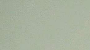 Mark Zuckerberg y Elon Musk acordaron la pelea por redes sociales.