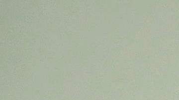 Mark Zuckerberg y Elon Musk acordaron la pelea por redes sociales.