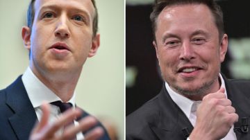Mark Zuckerberg y Elon Musk acordaron la pelea por redes sociales.