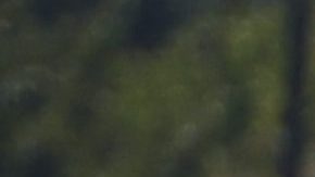 Accidente acuático en el lago Austin deja varios heridos, algunos graves y una persona desaparecida