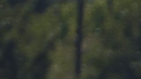 Accidente acuático en el lago Austin deja varios heridos, algunos graves y una persona desaparecida