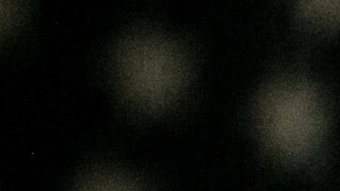 Madre del niño de 6 años que disparó a una maestra de Virginia se declaró culpable de negligencia infantil