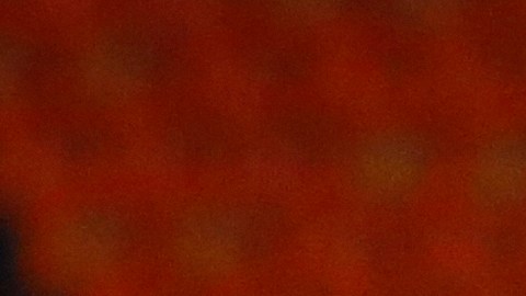 Fernando Arce en su primera etapa con Necaxa.