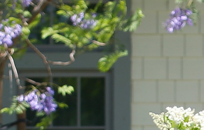 Los inmigrantes permanentes con sus familias son los que marcarán la diferencia en comunidades rurales.