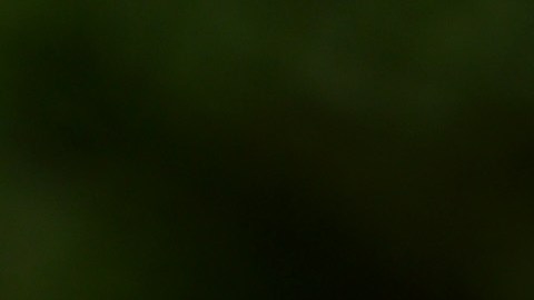 CHICAGO, ILLINOIS - JUNE 23: Police tape surrounds a crime scene where three people were shot at the Wentworth Gardens housing complex in the Bridgeport neighborhood on June 23, 2021 in Chicago, Illinois. A 24-year-old man died from injuries he suffered in the shooting and two others, a 22-year-old male and a 25-year-old male, were seriously wounded. (Photo by Scott Olson/Getty Images)