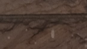 Macabra escena en Nueva York: Hallan cuerpos de dos niños y dos adultos en posible asesinato-suicidio