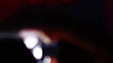 Valentina Shevchenko