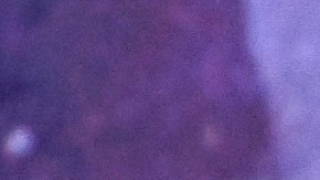 Adele llamó la atención de los guardias que molestaban a un fan.