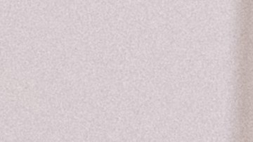 Perra con un balazo en la cabeza es encontrada vagando por las calles de Miami