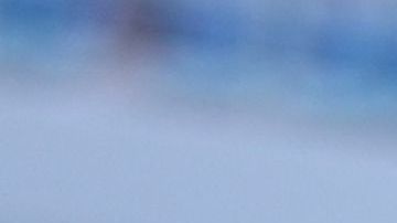 Alica Schmidt, velocista alemana.