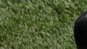 Campeonato de la Serie Mundial de Pequeñas LigaS.