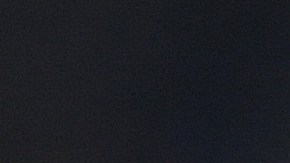 Tyler Adams jugará como mediocampista en el Chelsea.