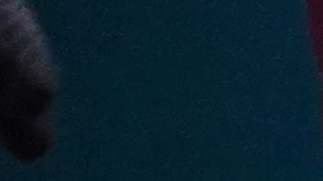 CHICAGO, ILLINOIS - DECEMBER 21: A shopper leaves a Nike store along the Magnificent Mile shopping district with a purchase on December 21, 2022 in Chicago, Illinois. Nike's stock price jumped more than 10 percent today after the sportswear maker announced earnings far exceeding expectations. (Photo by Scott Olson/Getty Images)