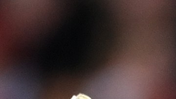 El guardameta tico es uno de los mejores en su posición y ha levantado mucha expectativa de muchos equipos que hacen vida en la Liga Profesional Saudí