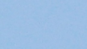 Enorme pez cae sobre transformador y deja a miles sin electricidad en Nueva Jersey