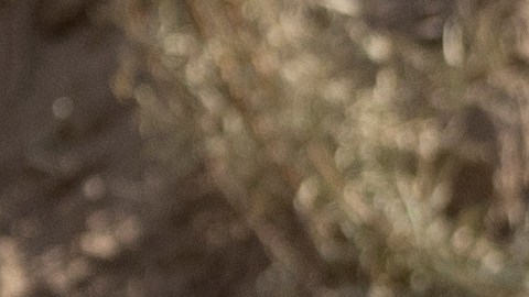 Los inmigrantes arriesgan sus vidas al cruzar el desierto en El Paso, Texas.