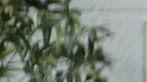 Nueva York recibió a 3,100 inmigrantes en una semana, los albergues se llenan rápidamente