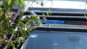 Violencia en Jalisco