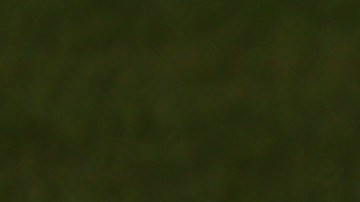 Iga Swiatek, tenista número 1 del mundo.