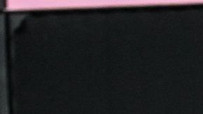 Fans del Inter Miami.