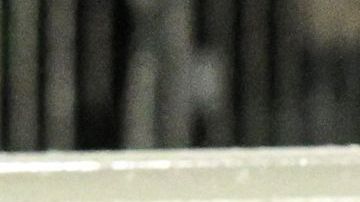 Jorge Vidal y parte de su staff.