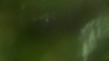 Es posible que Hunter Biden enfrente un caso penal por los cargos en su contra.